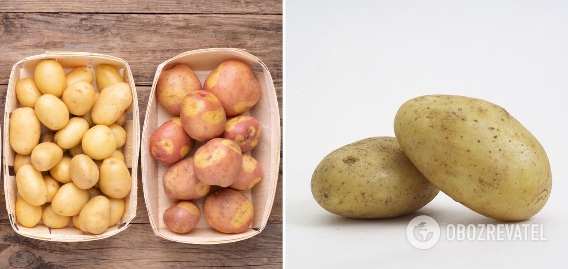 Rules for storing potatoes