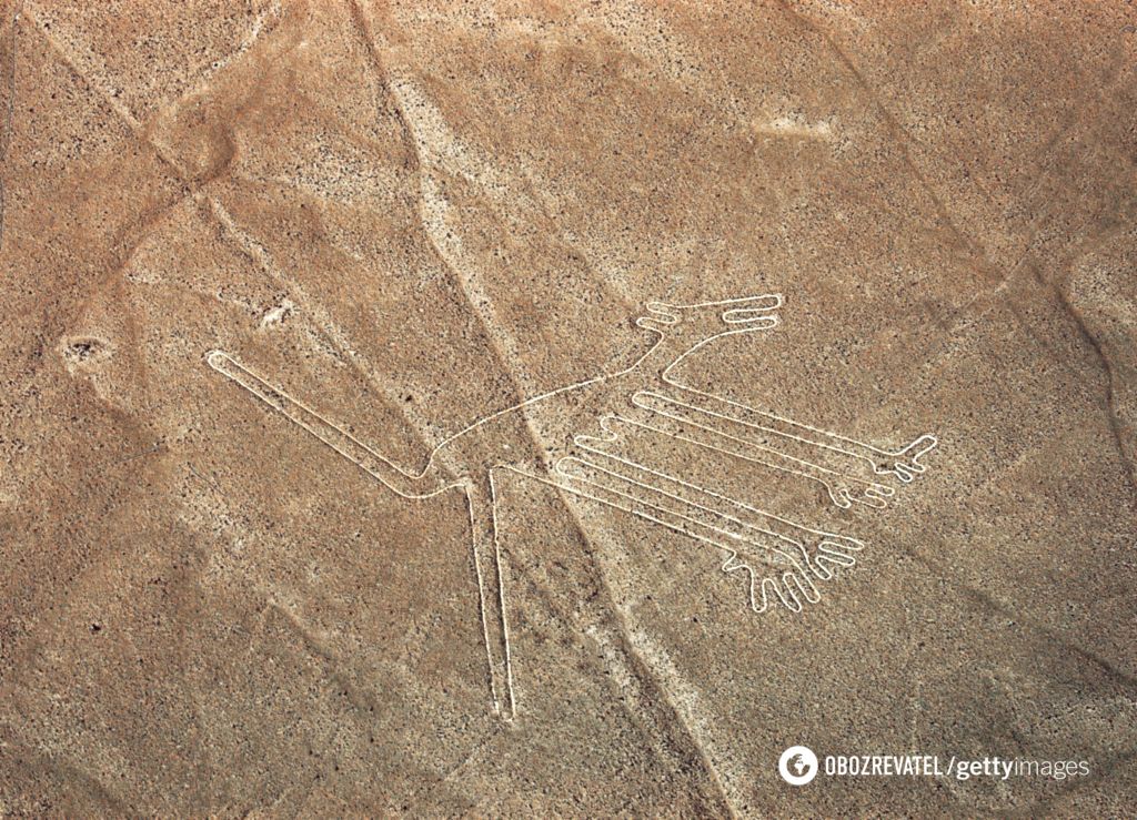 Aliens, killer whales with knives, and the robot Wall-E: more than 300 new geoglyphs have been found on the Nazca Plateau. Photo