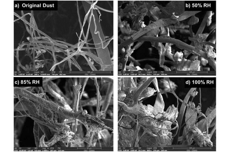 Where does mold come from on space stations and how to prevent it?