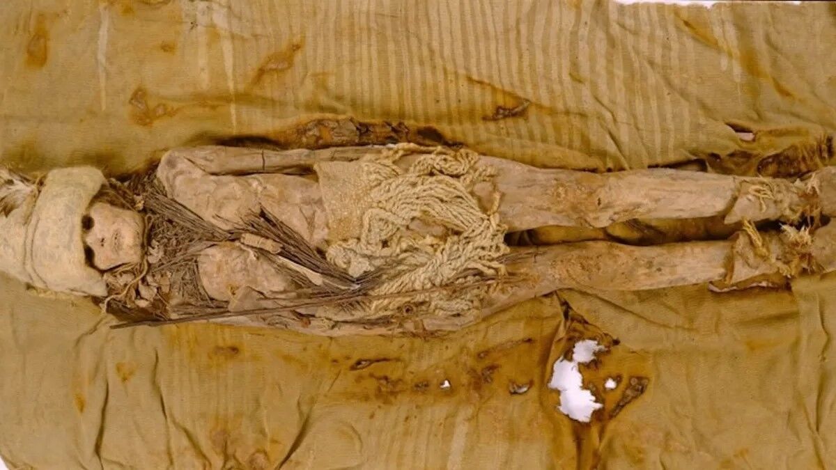 They were rubbed with cheese! Scientists have finally uncovered the secret of Chinese mummies