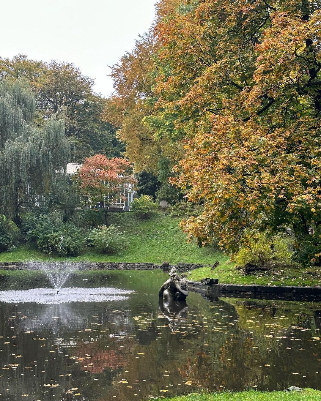 Discovering Lviv: top locations for fall walks