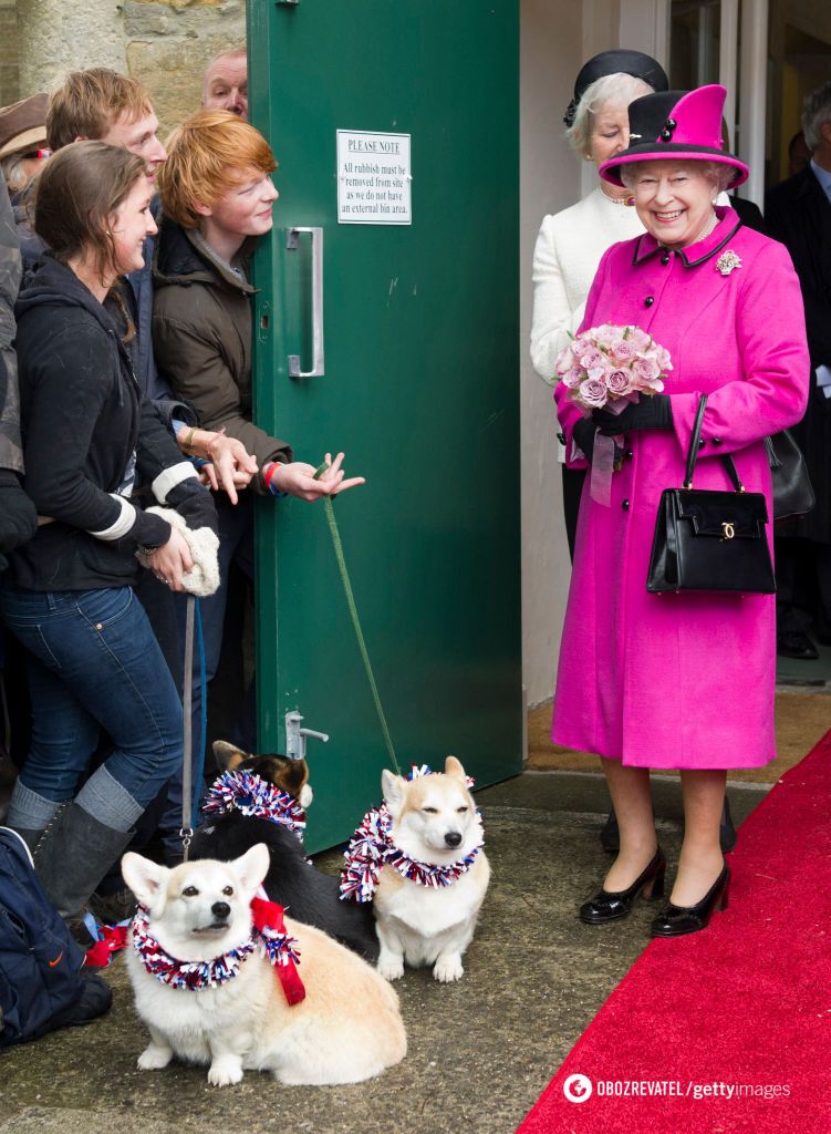 Charles III has chickens, and George V's parrot ate with him at the same table: what pets did the Windsors have