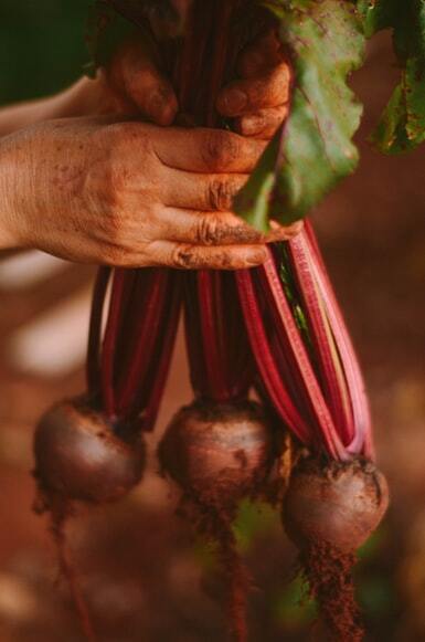 Beetroot for pizza