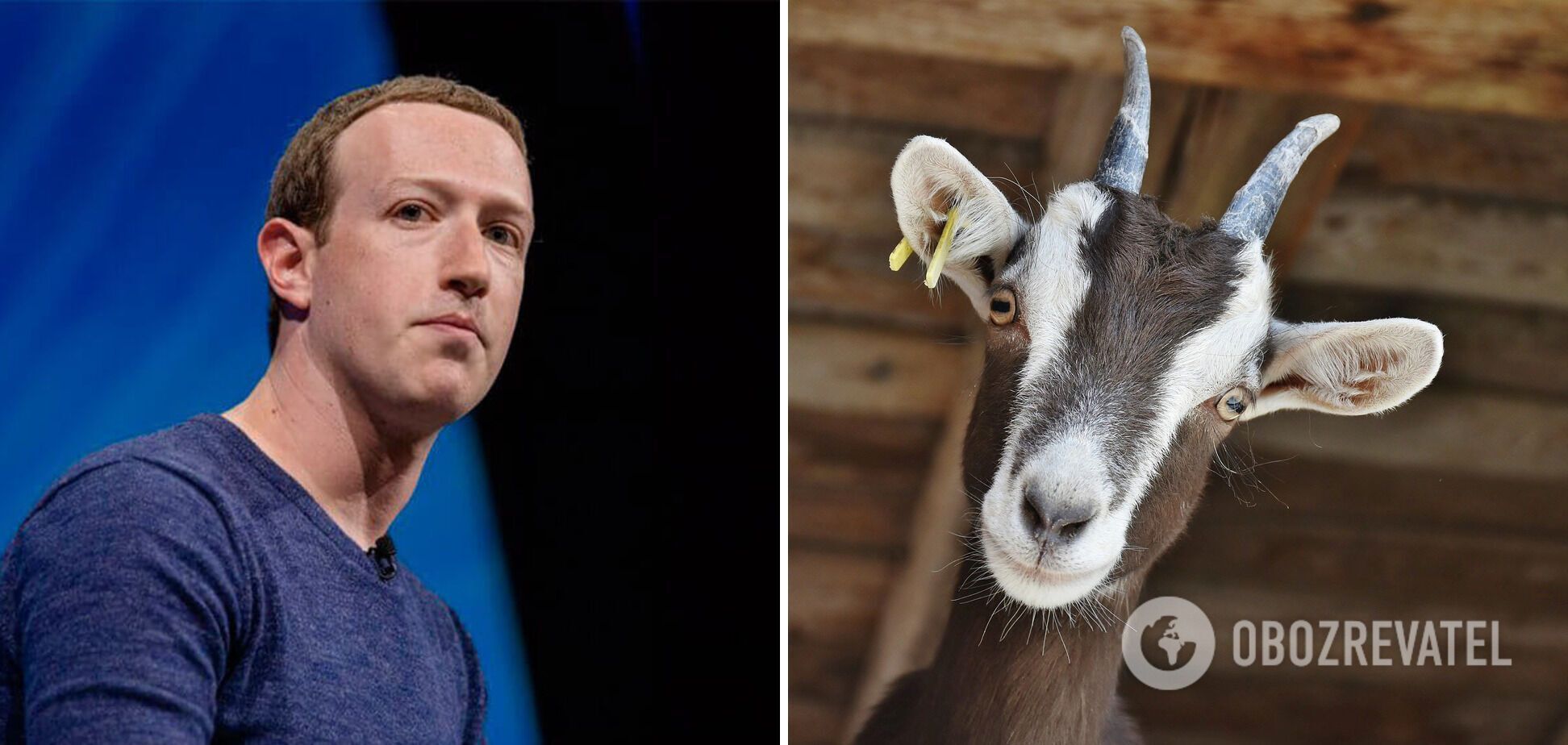 Zuckerberg eats only meat from animals he killed himself