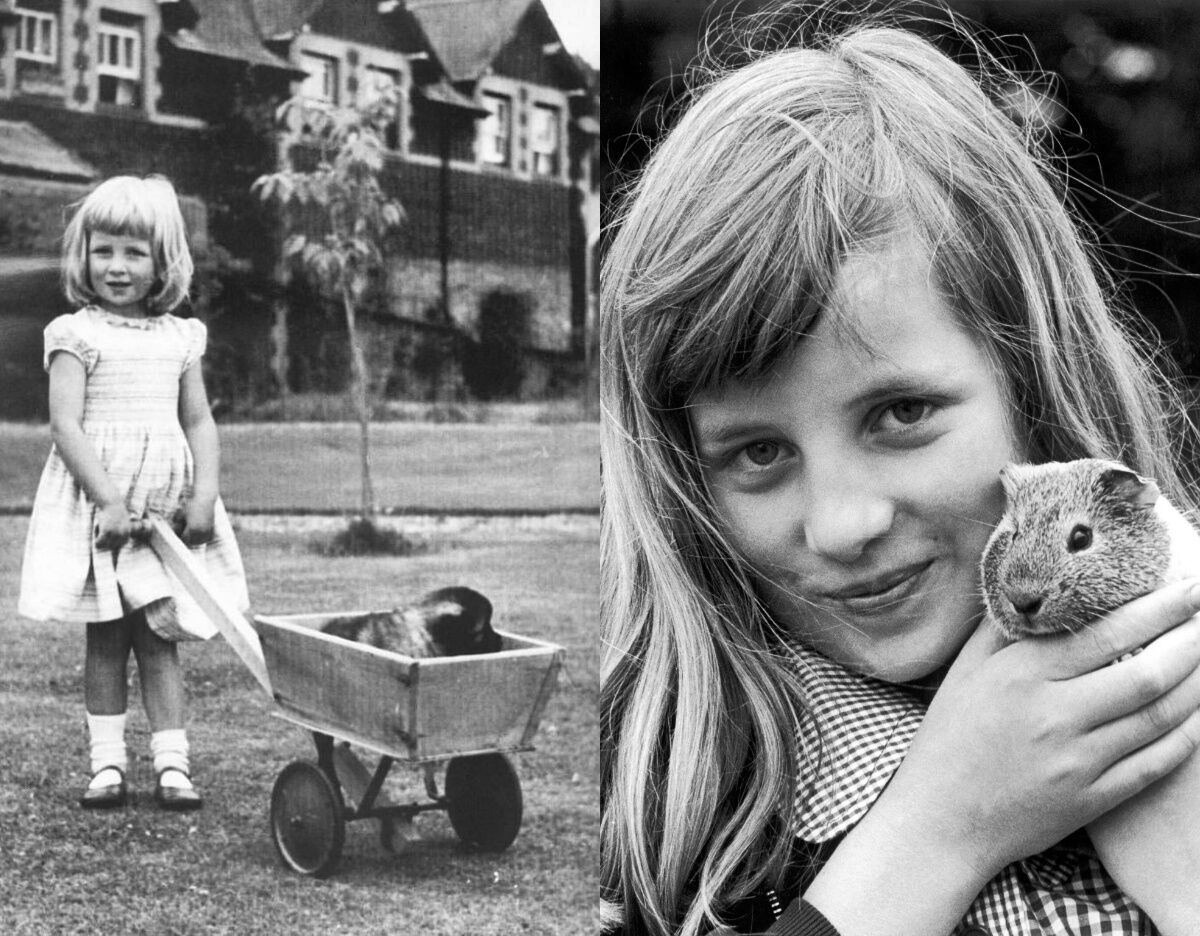 From Elizabeth II to Kate Middleton: what the royals looked like as children. Photo.