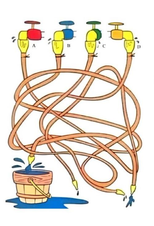 Which hose fills the bucket? A puzzle that the smartest will solve at a glance