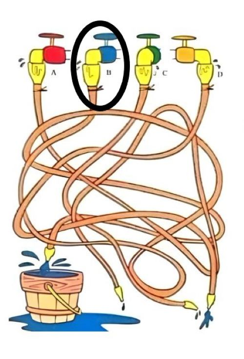 Which hose fills the bucket? A puzzle that the smartest will solve at a glance