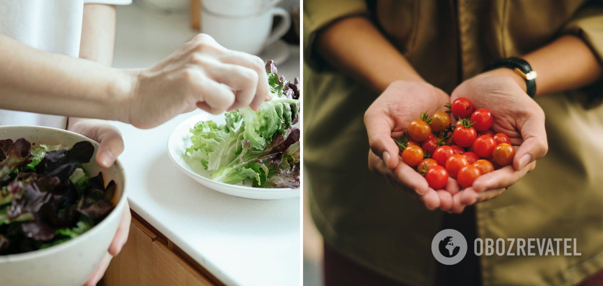 Lettuce and cherry tomatoes.