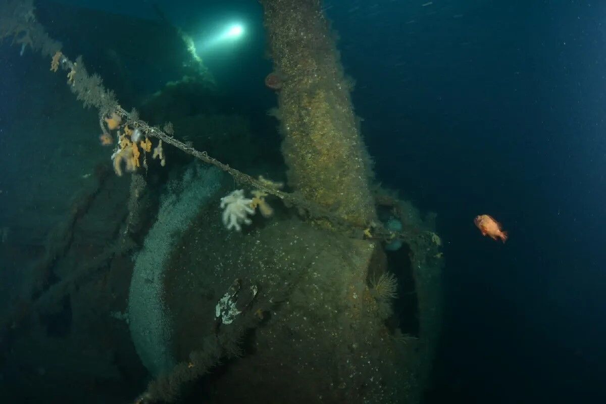 World War I British warship lost in surprise attack 110 years ago found in the North Sea