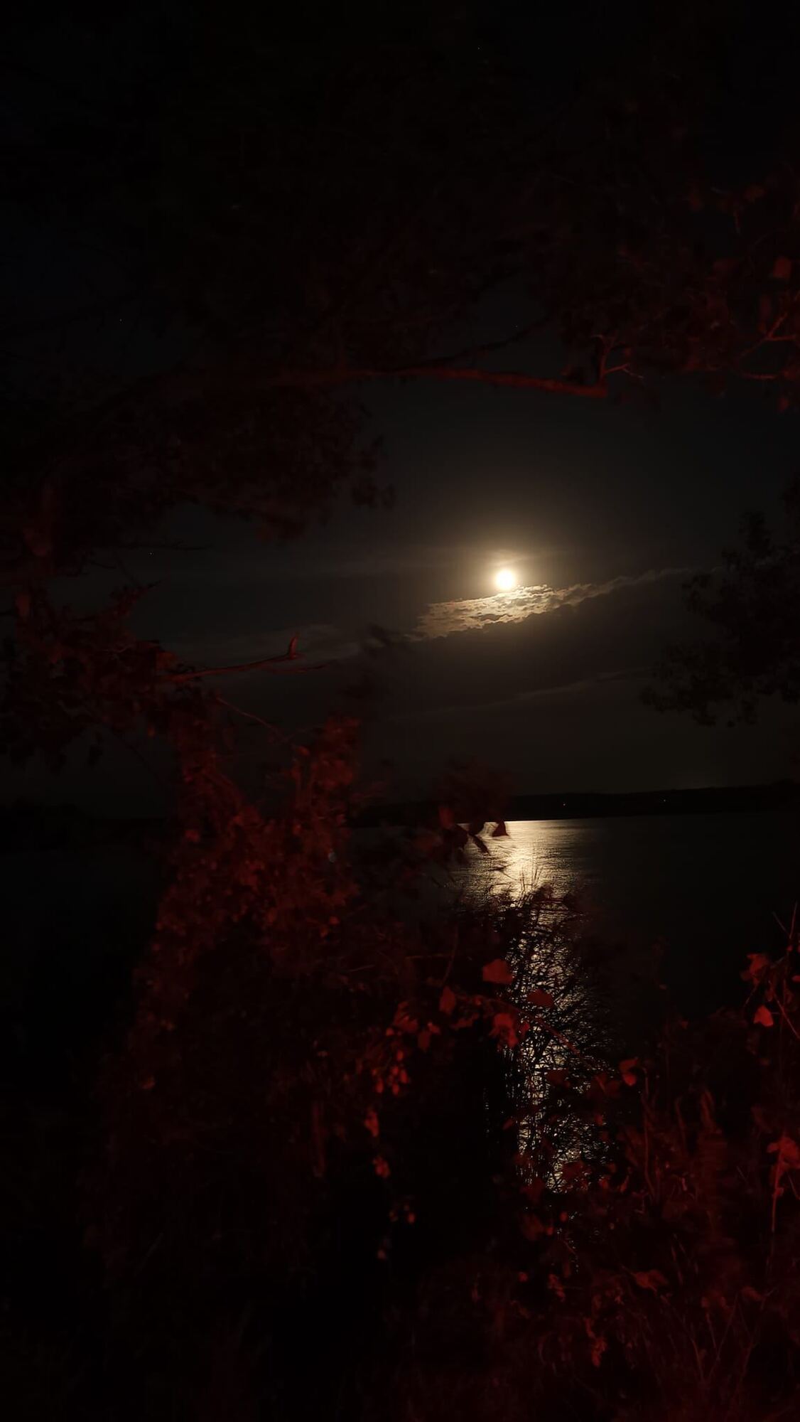 Deserted and mystical: a rare phenomenon was recorded over Vernadsky Research Base at night. Photo