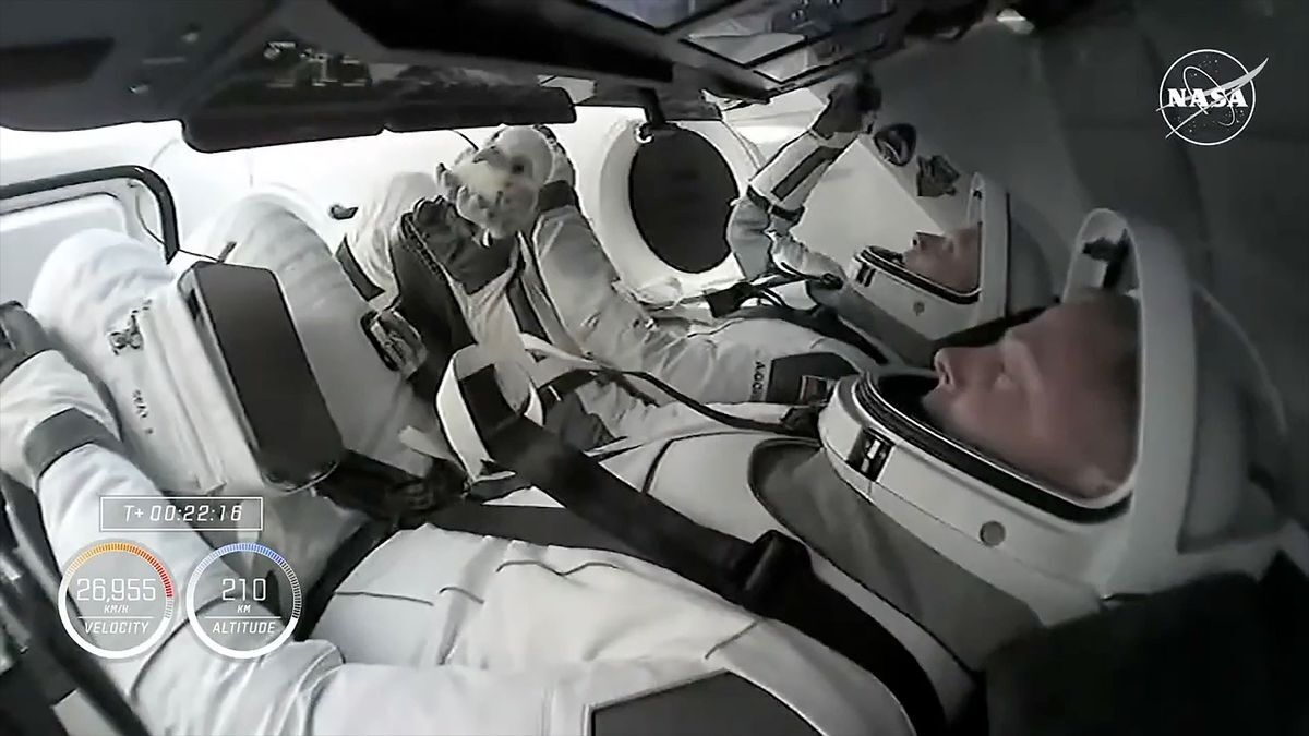 SpaceX Crew-9 astronauts arrived at the ISS with a plush ''Aurora'' on board: what the crew will do there and why they need this Russian tradition. Photos, video