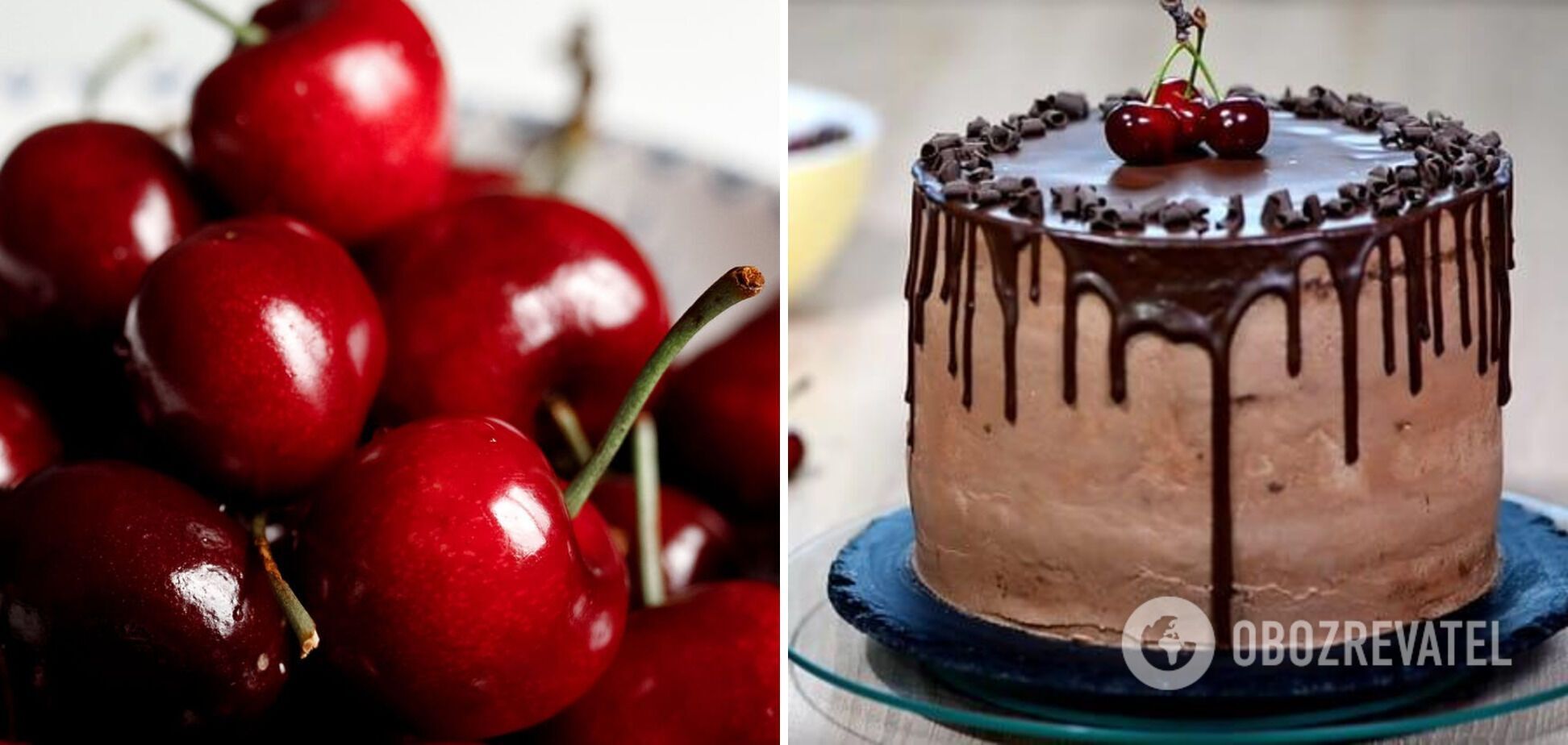 The legendary Brandied Cherry Chocolate cake at home: the secrets of the perfect sponge cake