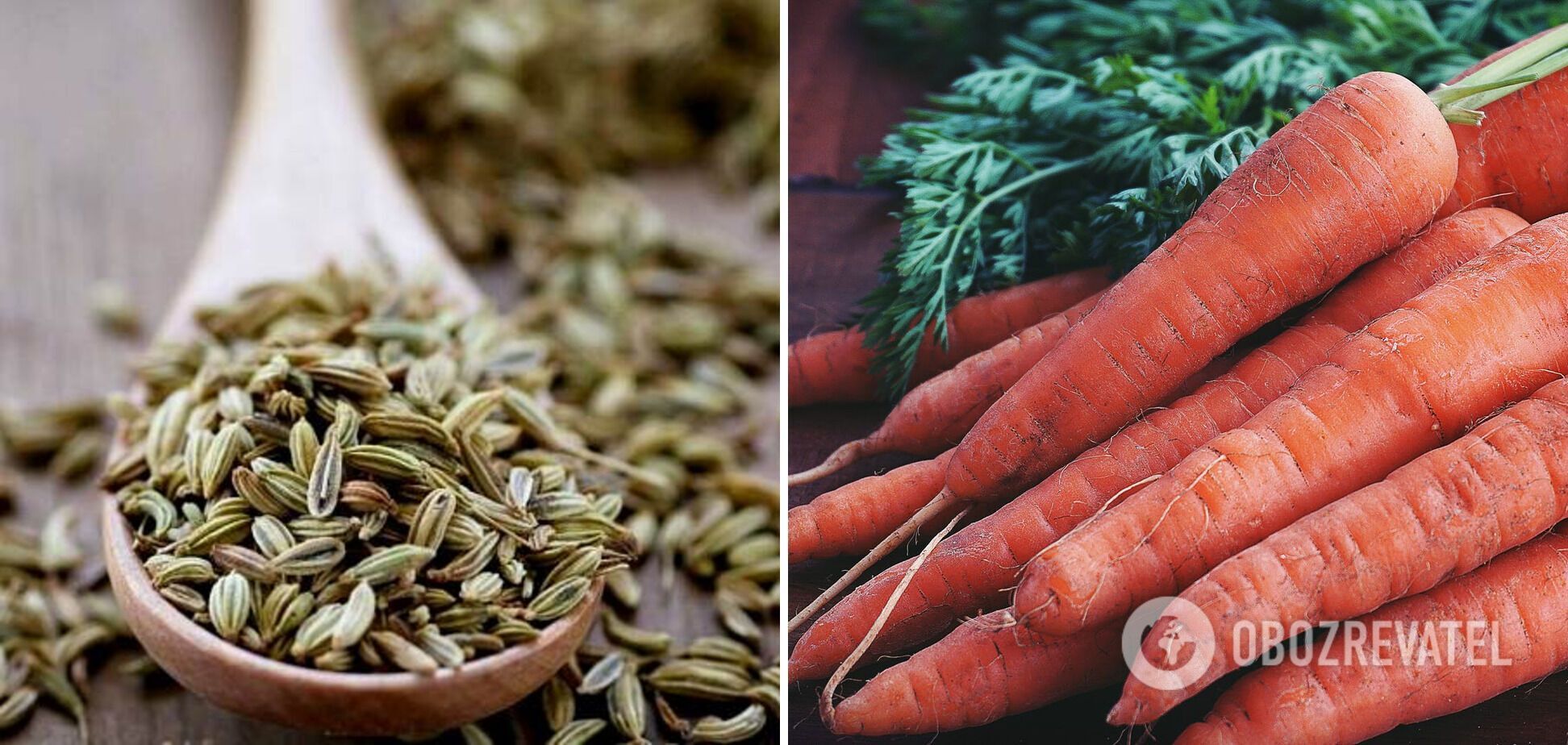 Anise and carrot - ingredients for the dish