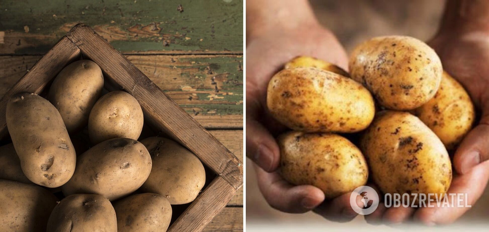 Potatoes for the casserole dish