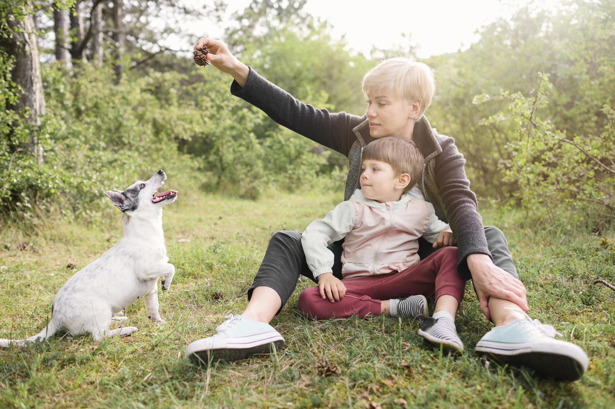 The hormone of happiness is produced. The study revealed the main reason to get a dog if you have a child