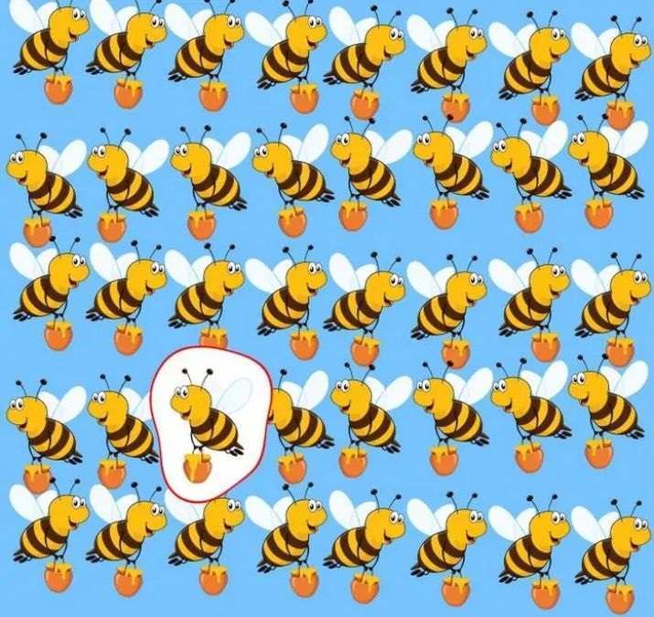 Which bee is different? A quick mindfulness puzzle