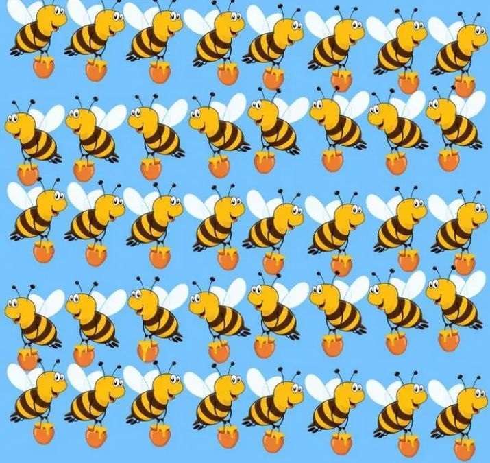 Which bee is different? A quick mindfulness puzzle