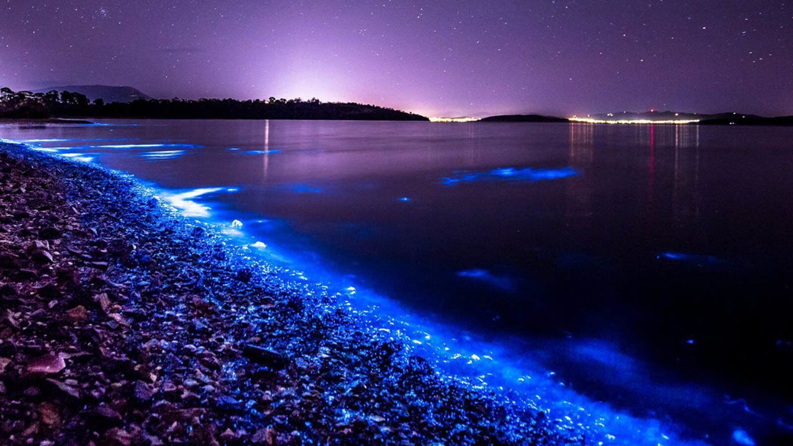 The sea in Odesa lights up with bright blue colors: what is the reason for the unique natural phenomenon. Video