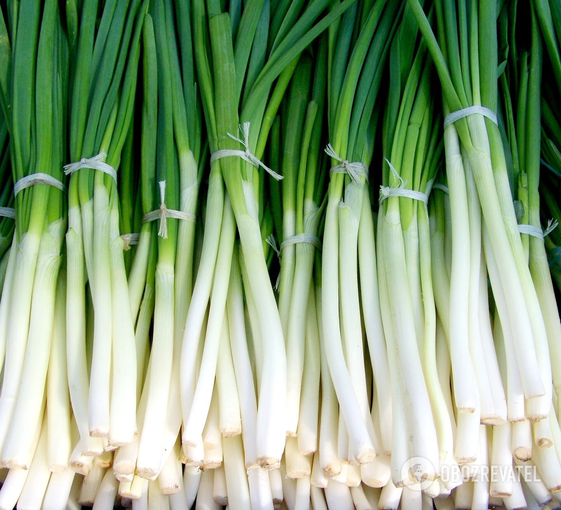 Green onions.