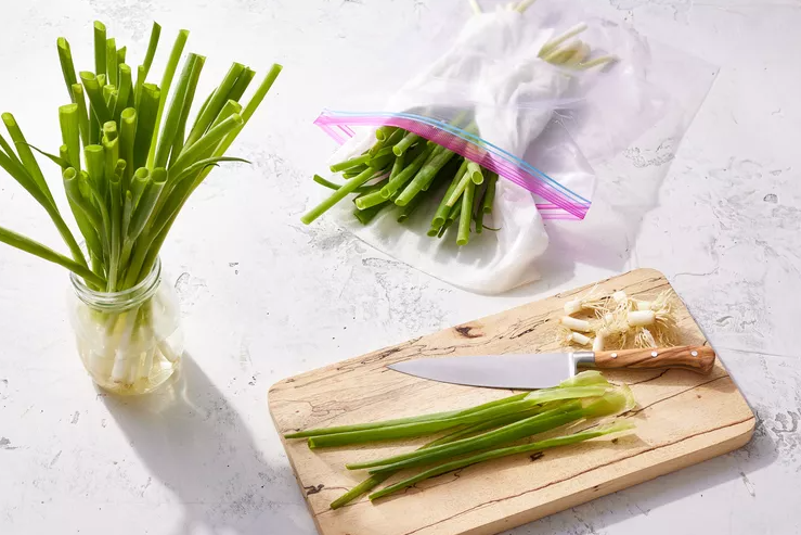 Will always be at hand: how to grow green onions in water