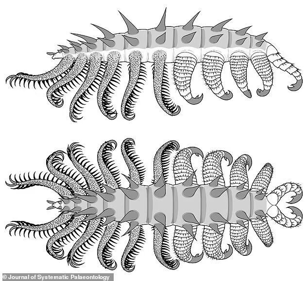 Long body, feathers and short legs with spikes. Remains of a strange creature found in North America