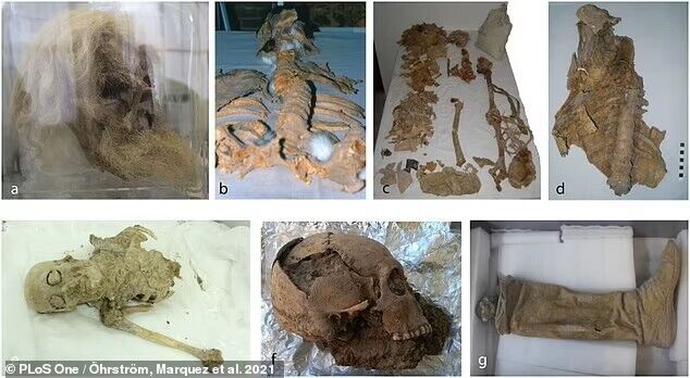 Frightening photos of the mummies of the ''Salt Men of Iran'' show the exact moment of their death more than 2,500 years ago