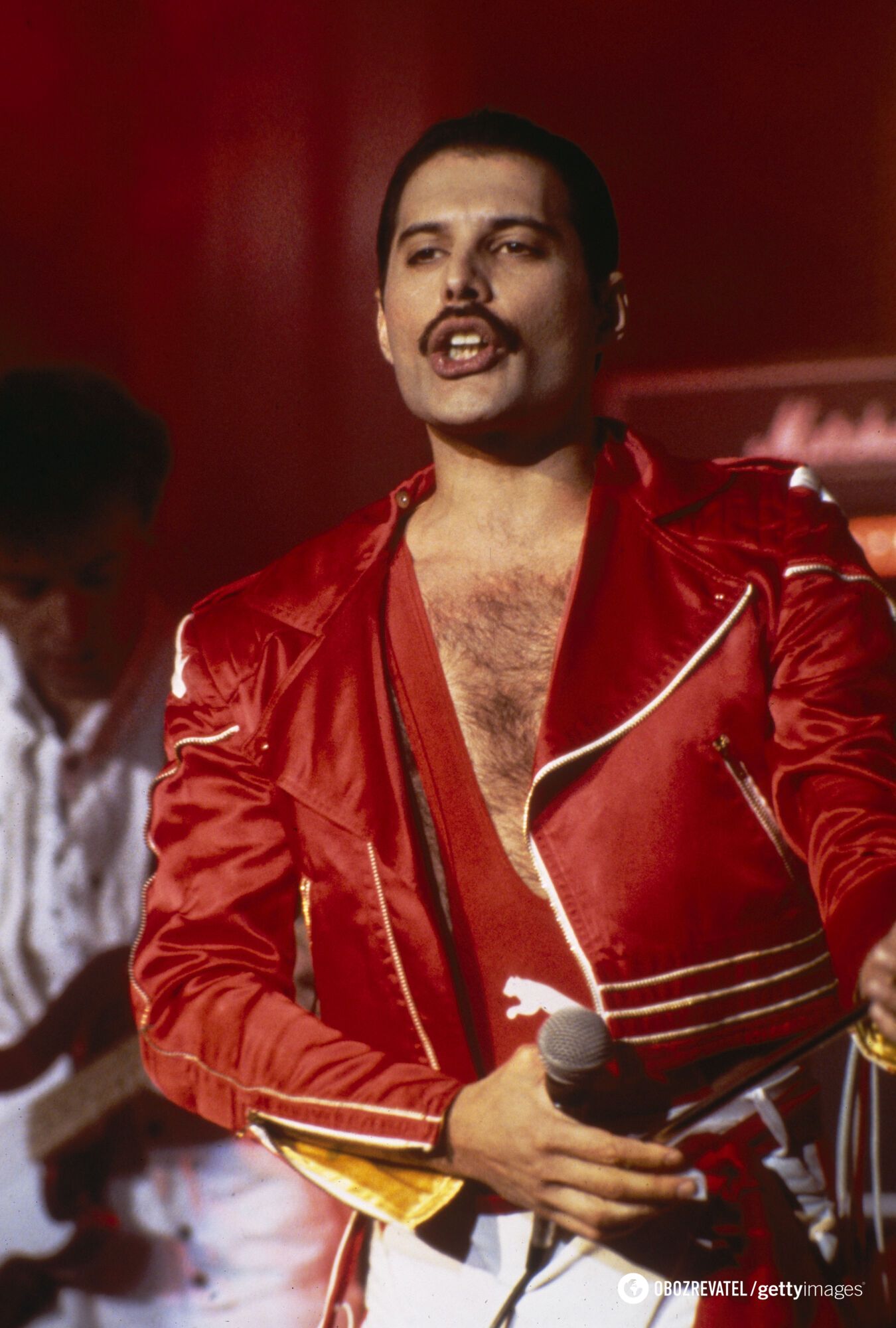 Freddie Mercury was born 78 years ago: why no one knew about the illness of Queen's leader and who was the only woman he loved madly