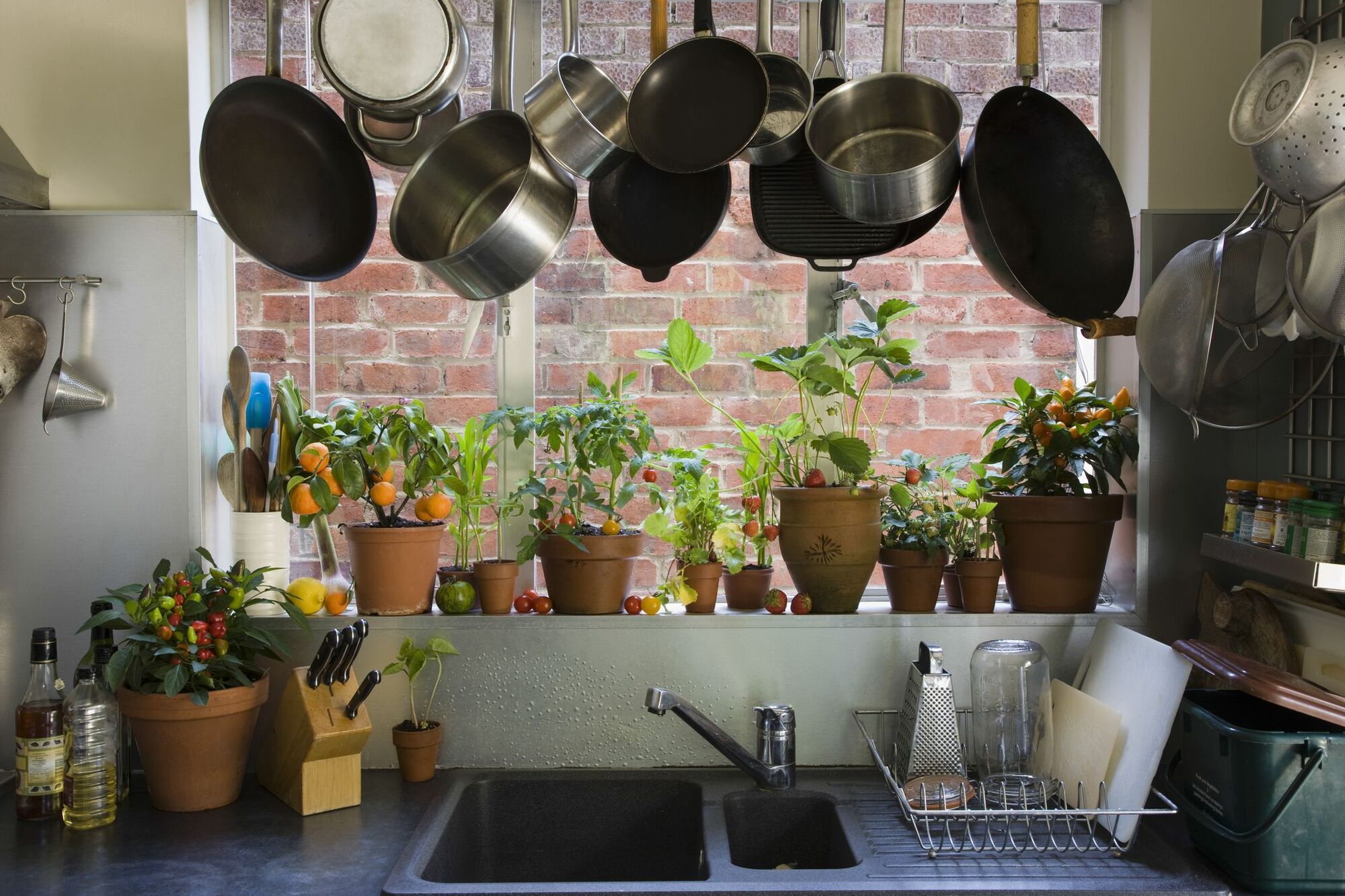 What not to put in the dishwasher: materials and appliances will be damaged