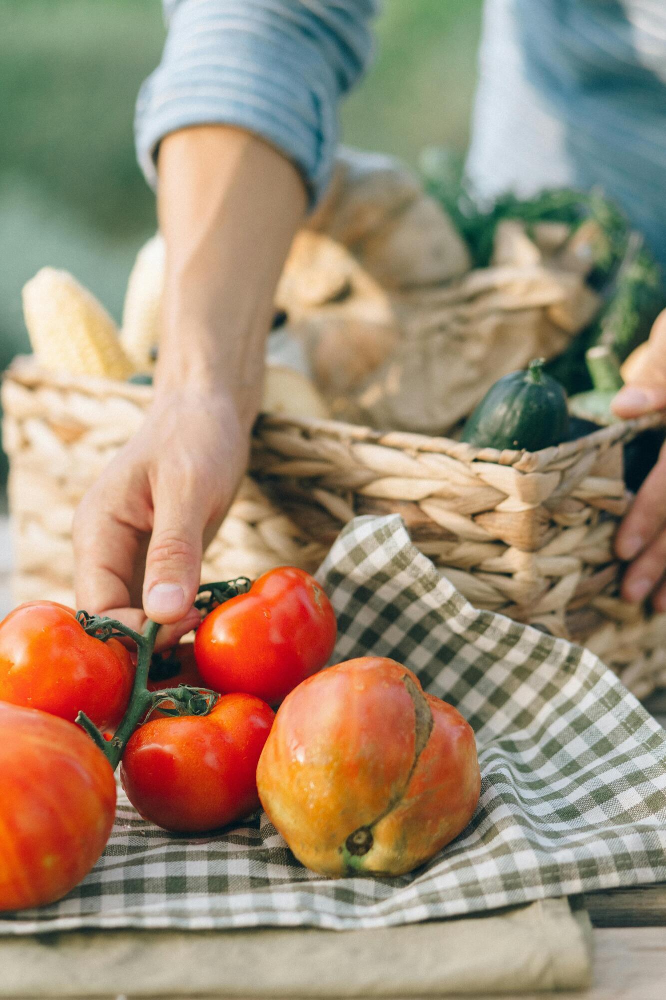 From ketchup to bread: how to store food properly to prevent it from spoiling