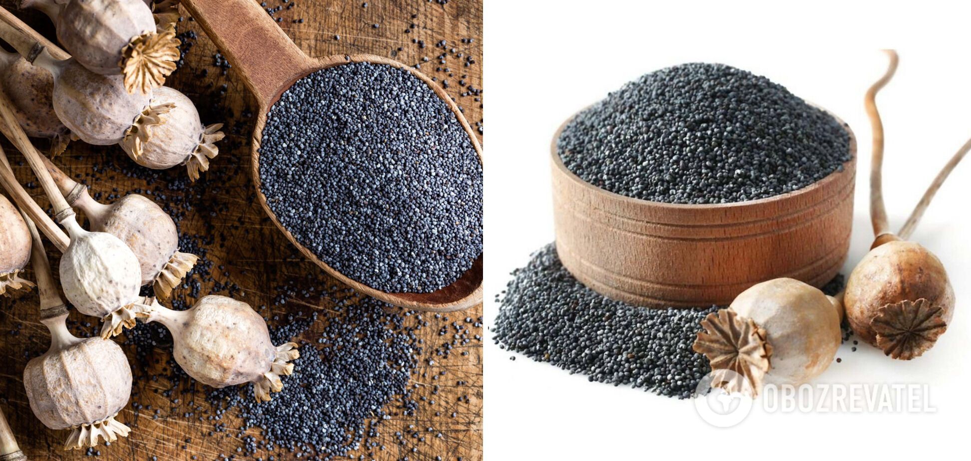 Poppy seeds.