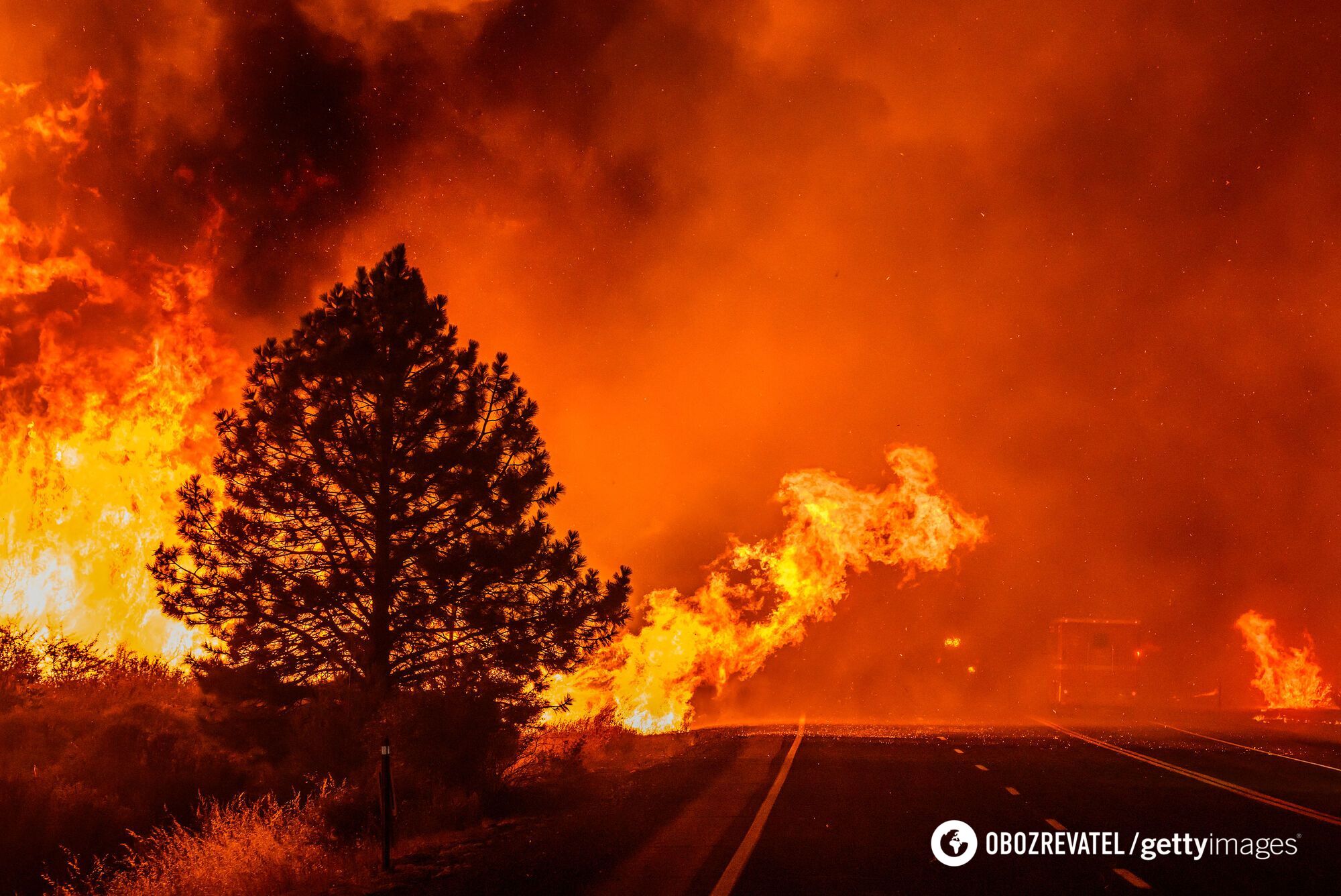 2024 officially named the hottest year in history: the summer broke all possible heat records