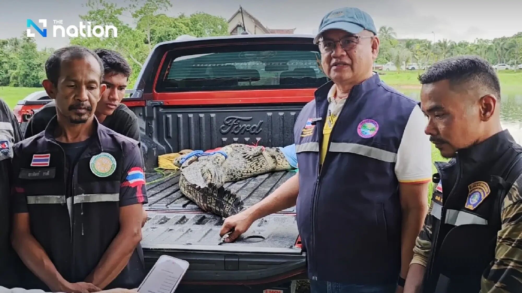 A crocodile 2.4 meters long was caught in a popular resort in Thailand. Photo