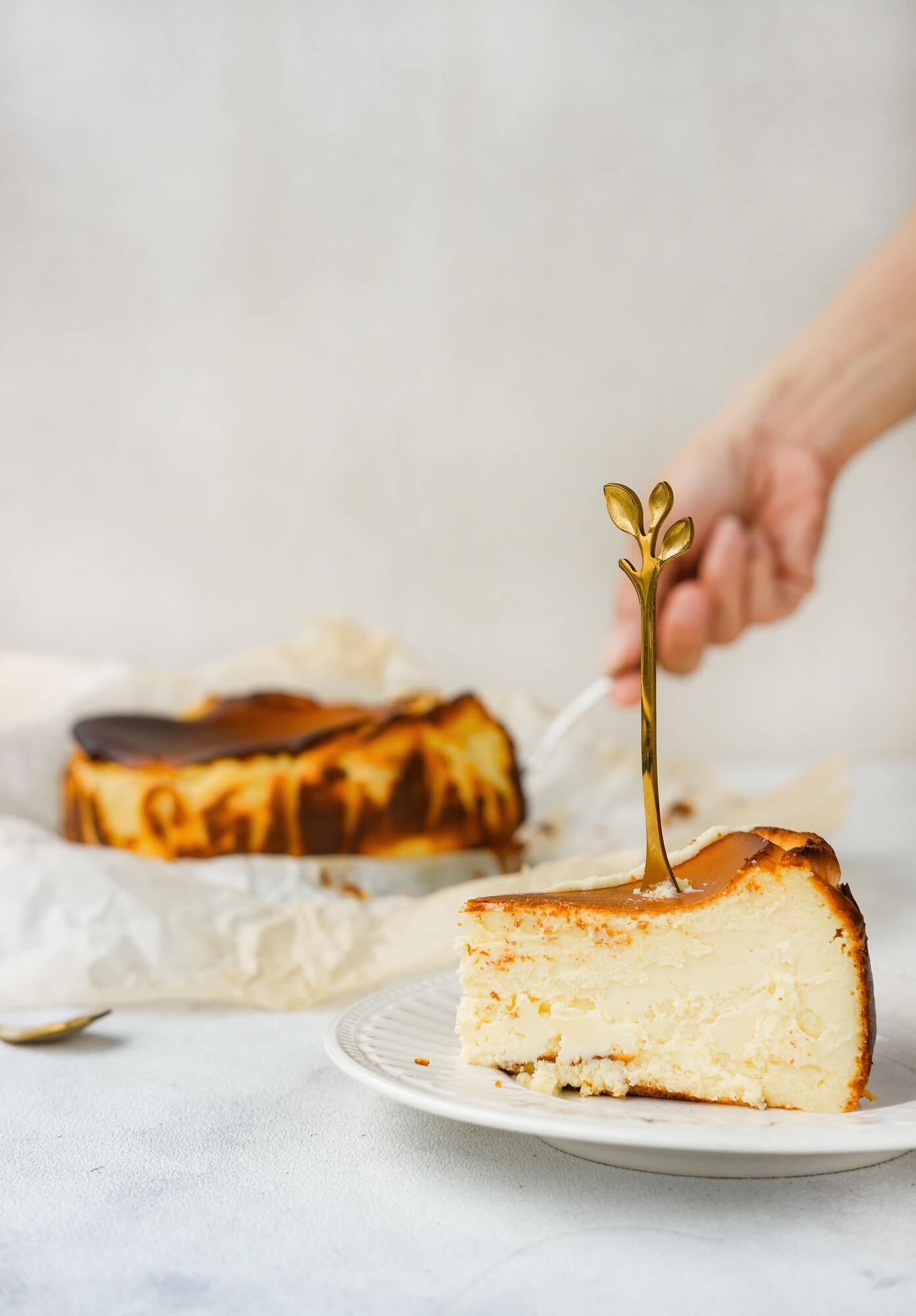 Delicious cake with cheese