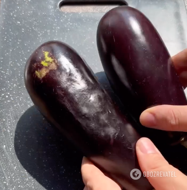 What to cook with healthy eggplant