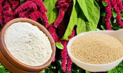 Amaranth: the superfood you must add to your diet