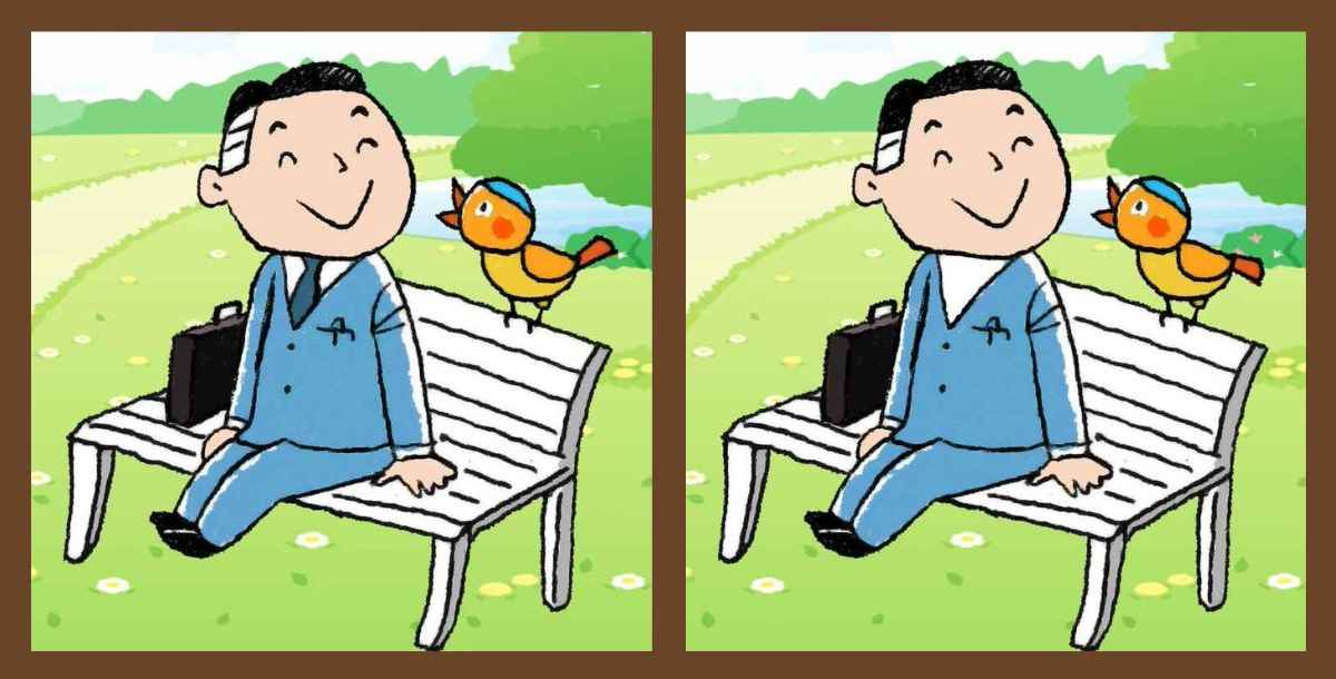 Test your attention: find three differences in the pictures