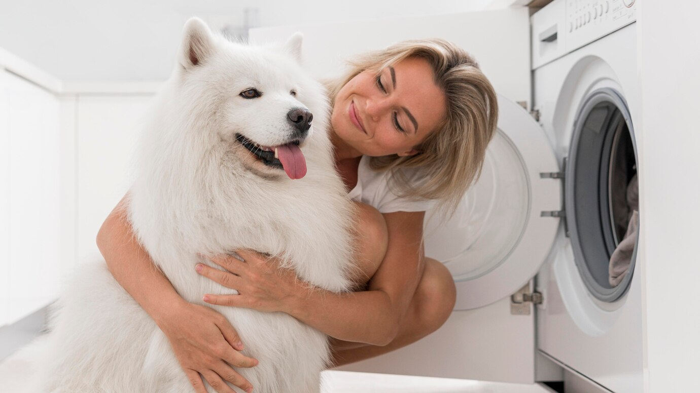 How to get rid of pet hair on clothes: the best ways