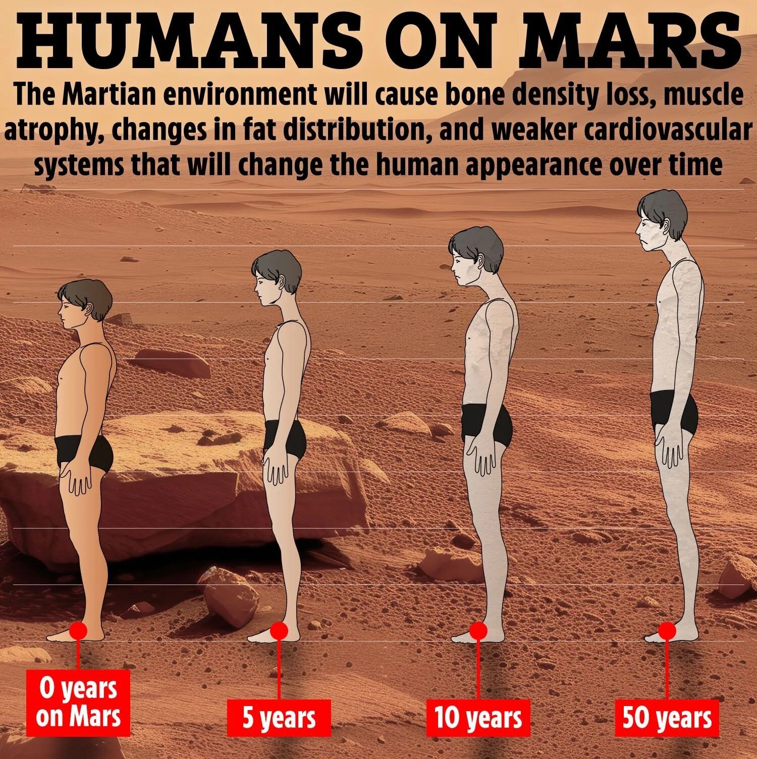 How people will change after 5, 10, and 50 years on Mars: elongated limbs, puffy faces. Illustration