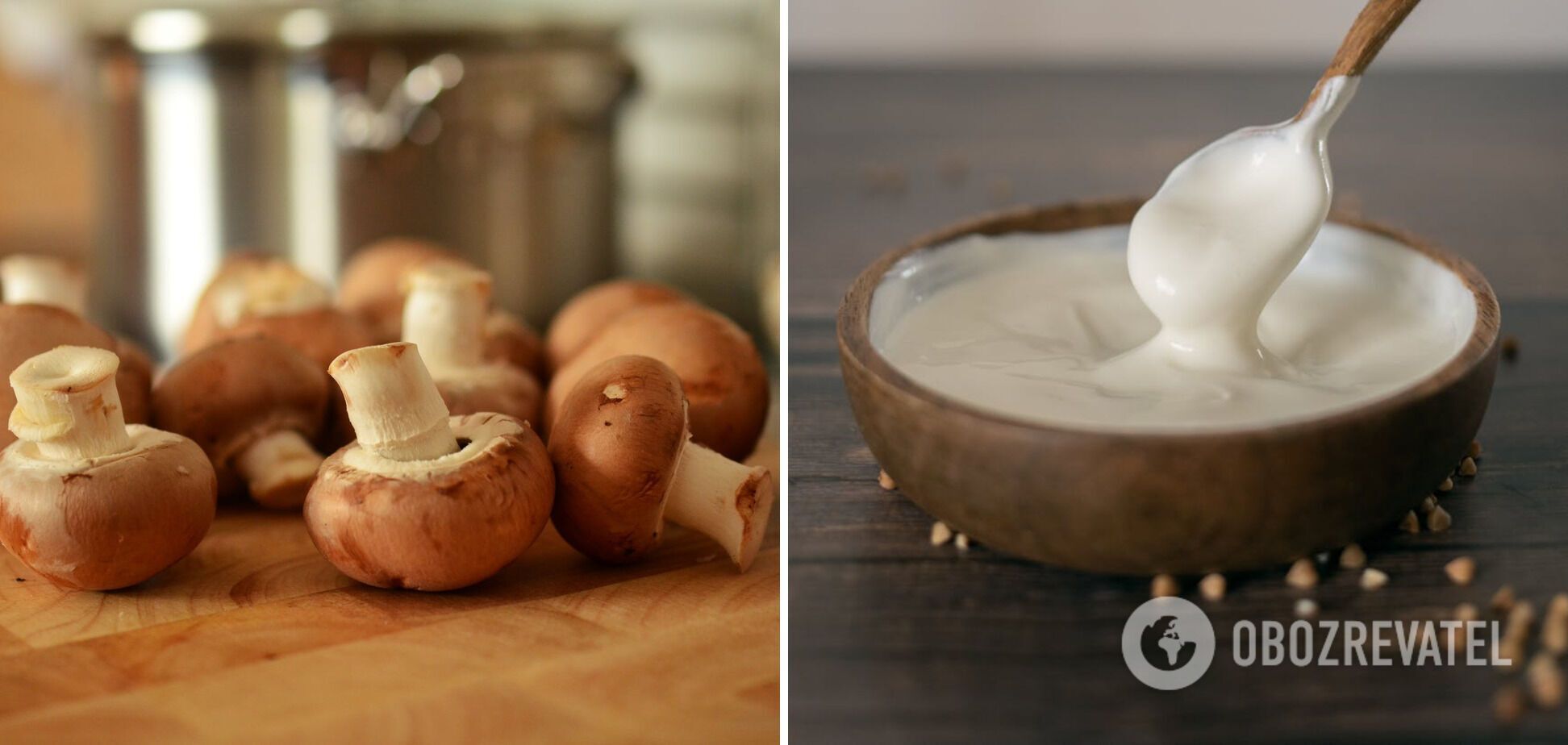 Mushrooms and sour cream for gravy