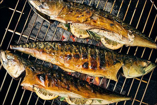 Grilled mackerel