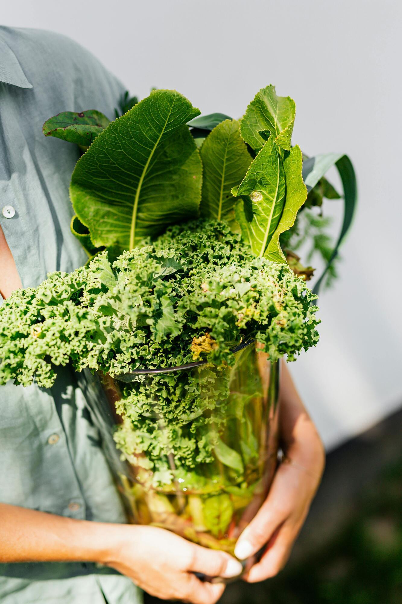 How to keep lettuce from molding in the refrigerator: life hack