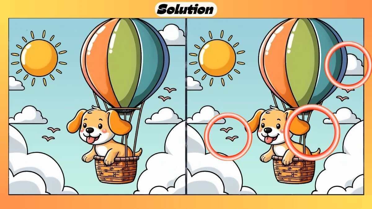 Try to find all the differences in two pictures as fast as you can: a fun puzzle