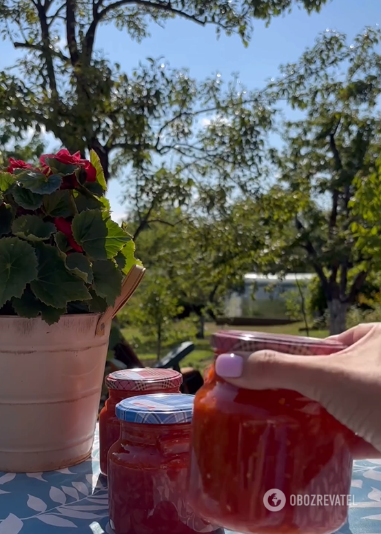 What to do if you have a huge tomato harvest: recipe for the most delicious adjika