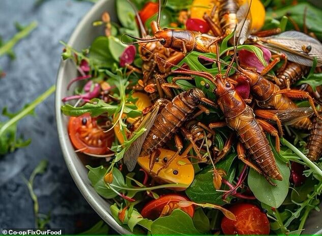 Meat from the laboratory, salad made of worms and ants. What will food look like in 30 years and what is a ''superfood''?
