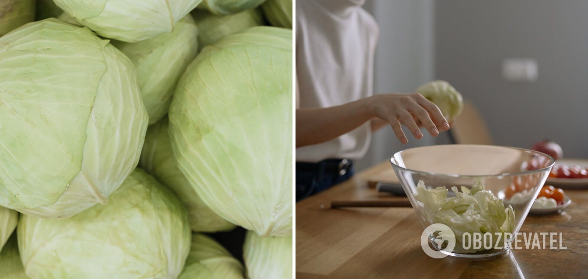 Cabbage for stewing