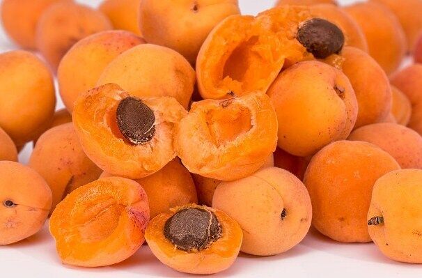 Ripe apricots