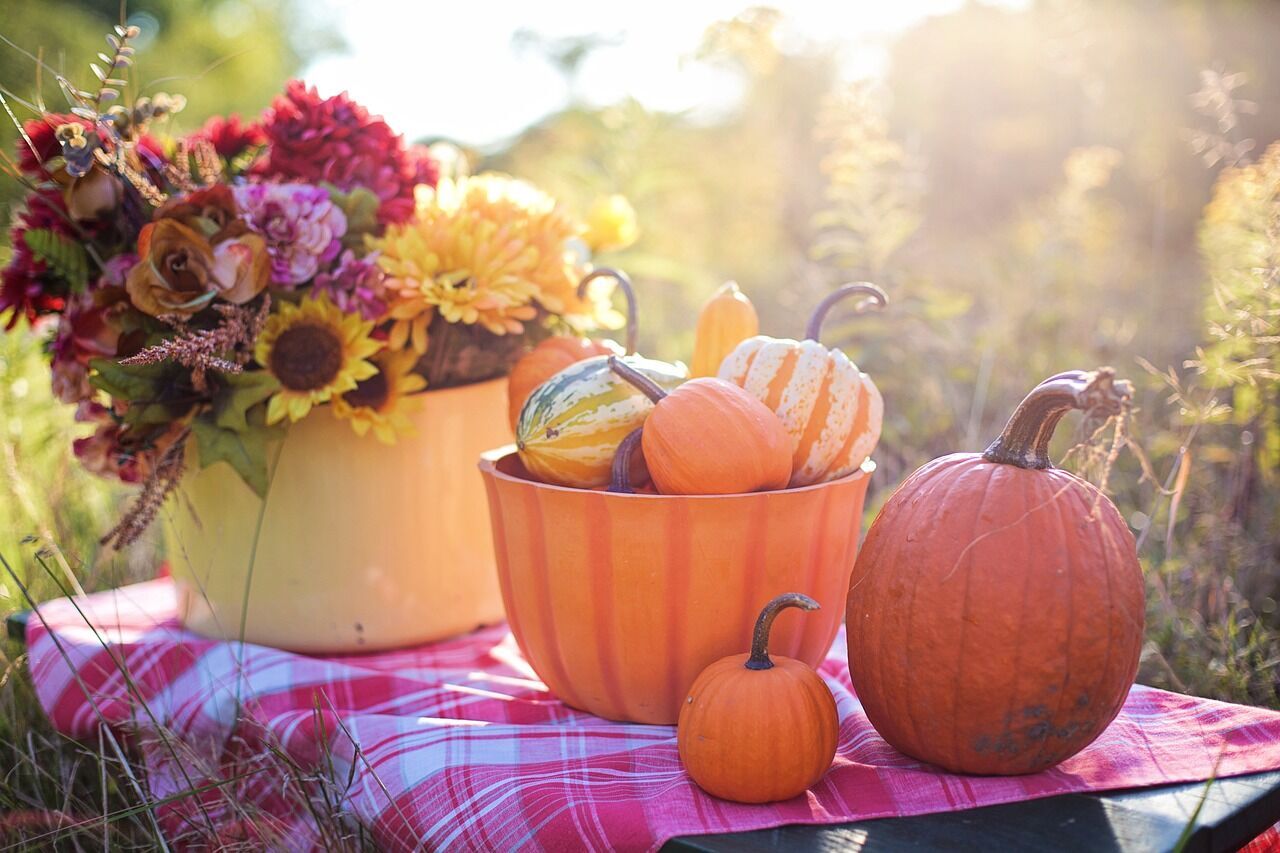Why pumpkin turns out to be tasteless: don't make these mistakes when cooking a popular autumn product