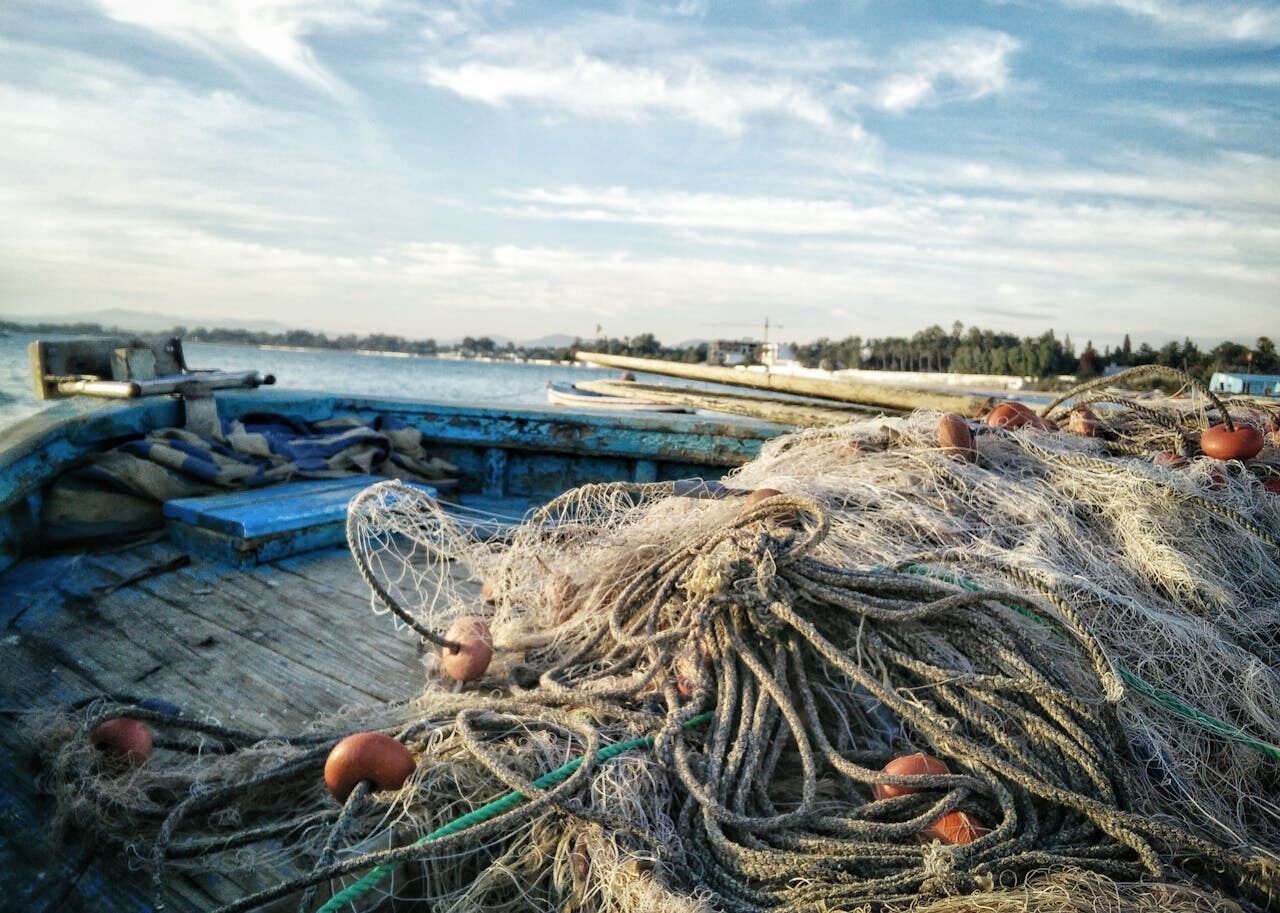 Fishing calendar for March: what fish bite