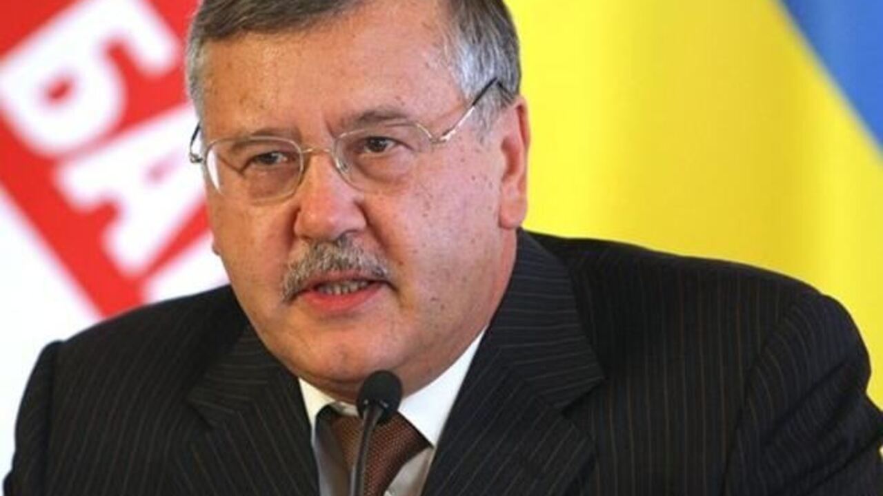 Гриценко требует от Тимошенко заменить Турчинова на себя
