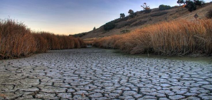 В Крыму воды нет, или Здравствуй дальневосточный гектар